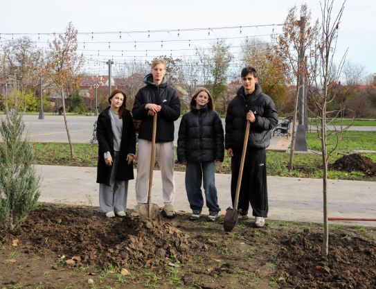 «Зелёный час»